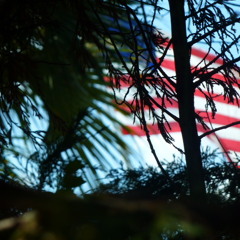 Wide Wide Wild Open Eyes