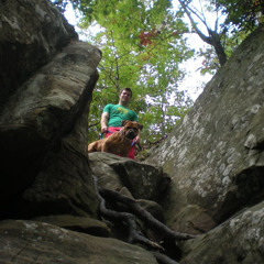 Taylor Javis Coffman