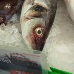 Isaac Opperspennmaxim