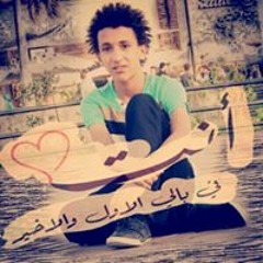 Ahmed Atef 573