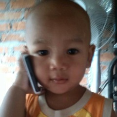 kungsat