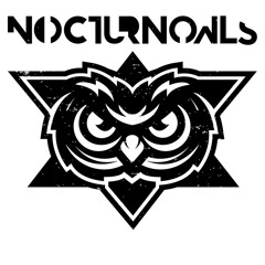NocturnOwls