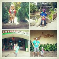 Helmy 'chemink' N Prihadi