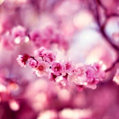 My Voice Is Not Good :)