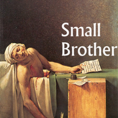 Small Brother
