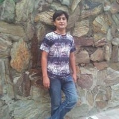 Naveed Zaidan