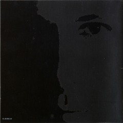 ady19801