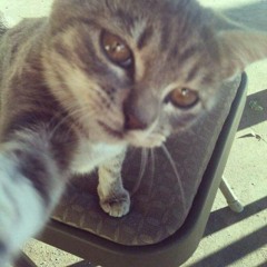 LolaliZa ♥