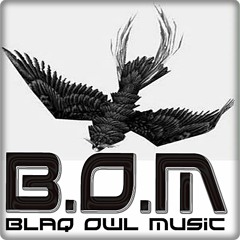 Blaq Owl Music (Ltd)