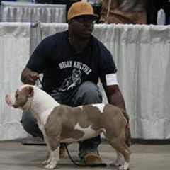 Brick House Built Bullies