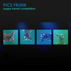 Pics Frunk