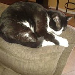 Kristie Schmid Figueredo