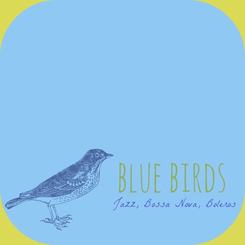 Blue Birds Cuarteto’s avatar