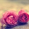 hossf