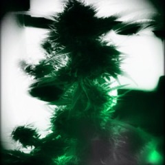 HawaiianRoot1