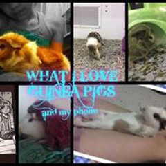 Daniela Bonola Navarrete