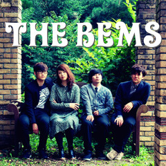 THE BEMS