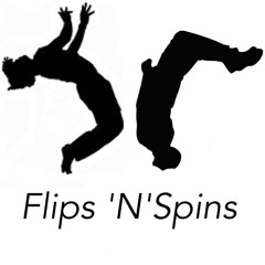 Flips'n' Spins