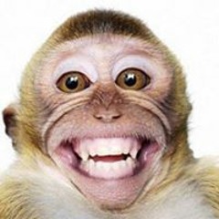 Joanner Santillan Jimenez