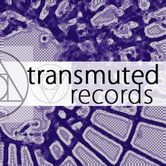 Transmuted Records