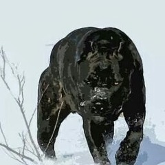 KENDRIC LAMAR