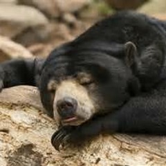 plentyofsleep