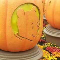 Karine Moriarity Paulan