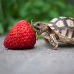 abbylovesxavierforlife