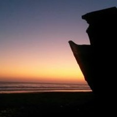 Marcio Gutierrez Soto