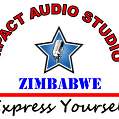 impact studio zimbabwe