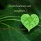 green lightt