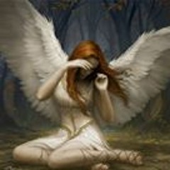 AlluringAngel Wings