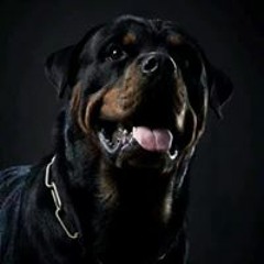 Andrew Sutherland 20