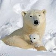 Luisa Martínez Gómez