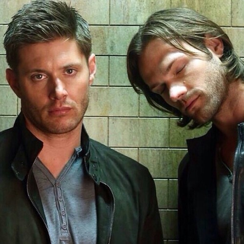 Stream assbuttjerkbitch Listen to Skillet playlist online for free on