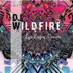 DJ WiLDFiR3