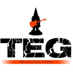 TheElectricGnome
