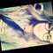 user226661344