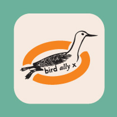 bird ally x