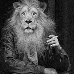 Soufian Belassouli II