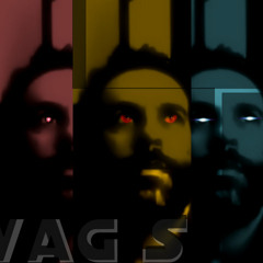 Wag S