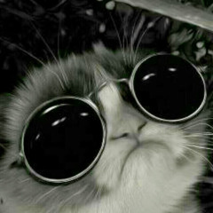 Diego Armando Sabogal