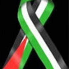 Yassin Yaysin Shilleh