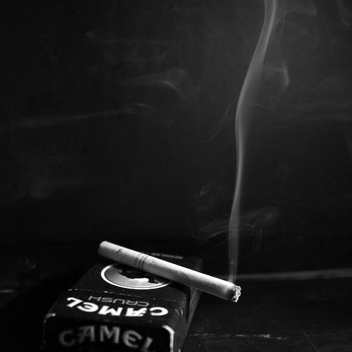 امهرجان التعبان والميت - فريق الاحلام.MP3