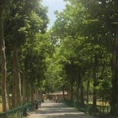 Marshella Anastasia Rotty