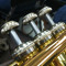 Trumpetnerd411