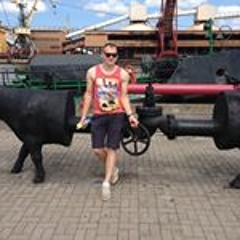 Vladimirs Logins-Vilkaste