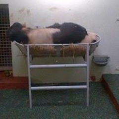 Andy Ebookwyrm Angel