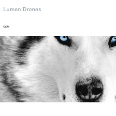 Lumen Drones