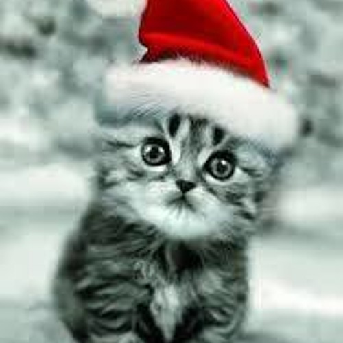 Lose Yourself – Alex Hartung